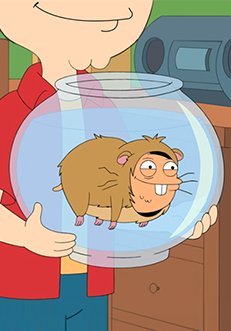 ad_GuineaPigKlaus