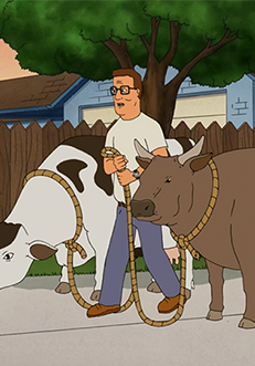 KOTH_SteakCows
